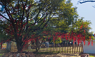 電(diàn)商風(fēng)采