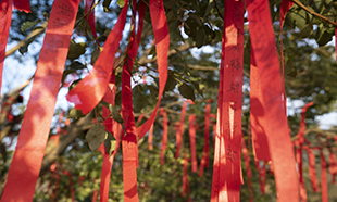 電(diàn)商風(fēng)采